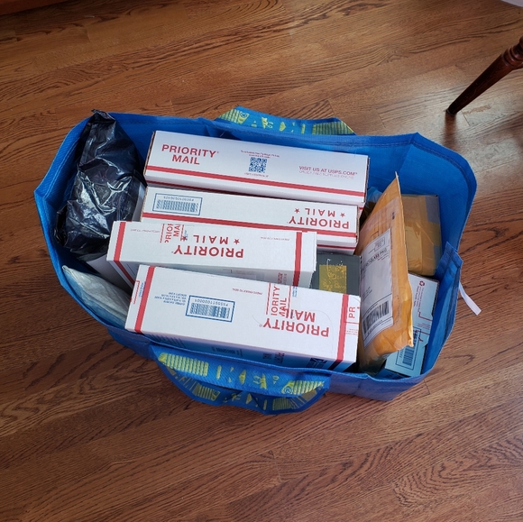 Meet your Posher, Ophelia - Picture 2 of 8